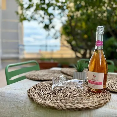 Fronte Mare Con Giardino Privato, Vicino Monaco * 罗克布吕讷-卡普马丹